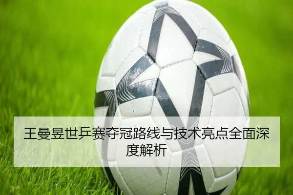 王曼昱世乒赛夺冠路线与技术亮点全面深度解析